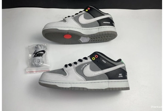 SB Dunk Low VX1000 CV1659-001 Nike 0718